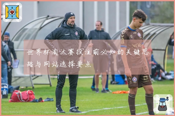 世界杯淘汰赛投注前必知的关键思路与网站选择要点