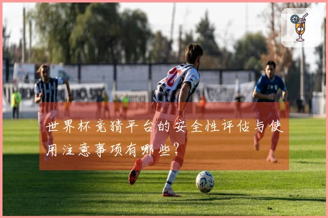 世界杯竞猜平台的安全性评估与使用注意事项有哪些？